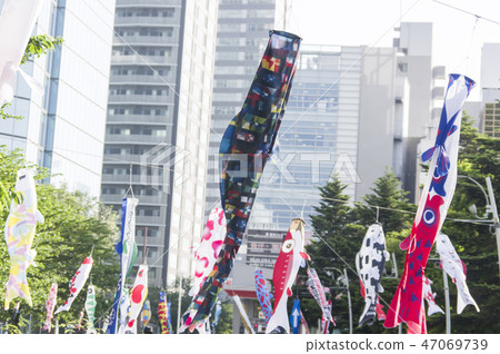 Carp streamer Carp streamer 47069739