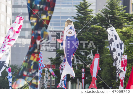 Carp streamer Carp streamer 47069740
