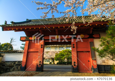 Asahigaoka Park Akamon和Sakura Morning風景[佐賀縣鹿島市] 47070136