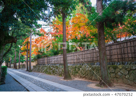 Approaches and autumn leaves in Kyoto Daitokuji Approaches and autumn leaves in Kyoto Daitokuji 47070252