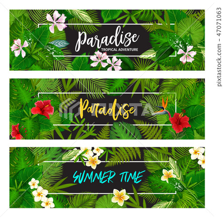 Tropical exotic palm leaf banners 47071063