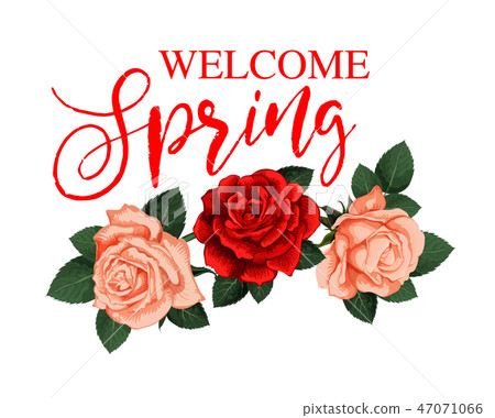 Welcome Spring greeting card with rose flower Welcome Spring greeting card with rose flower 47071066
