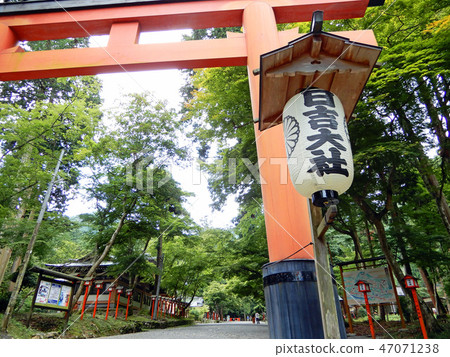 Hiyoshi Taisha Sanno Torii 47071238