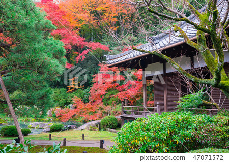 Autumn leaves of Kyoto Shoren-in Mon 47071572