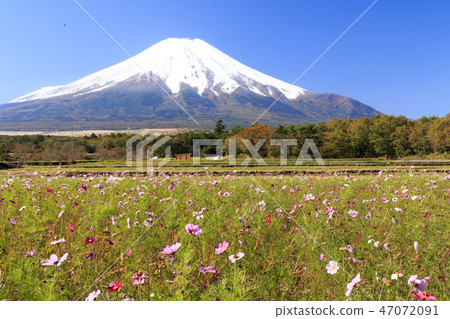 富士山 47072091