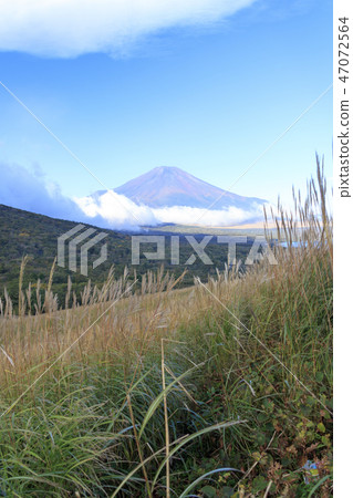 Panorama table 47072564