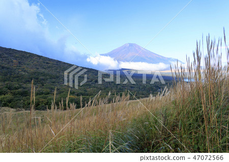 Panorama table 47072566