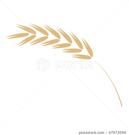 Cereal ear simple icon in flat vector illustration - ripe yellow agricultural seed of grain plant. Cereal ear simple icon in flat vector illustration - ripe yellow agricultural seed of grain plant. 47073099