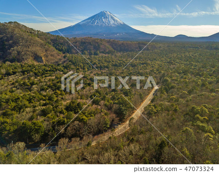 Jukai and Fuji "Jyukai" at the foot of Mt 47073324