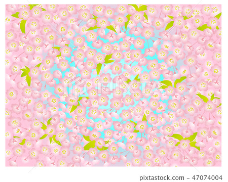 Cherry blossom background pink leaves blue sky Cherry blossom background pink leaves blue sky 47074004