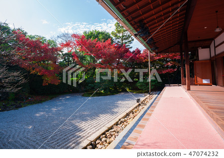 Autumn leaves of Kyoto Shukutoin 47074232