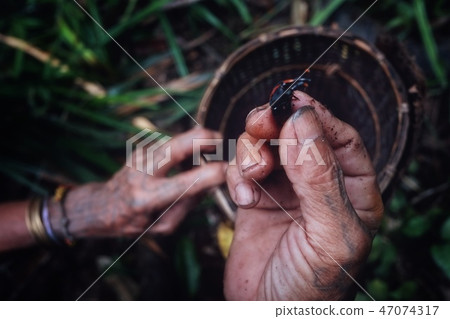 Muara Siberut, Mentawai Islands / Indonesia Muara Siberut, Mentawai Islands / Indonesia 47074317
