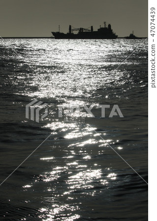 Morning of Tokyo Bay 47074439