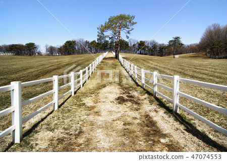 Autumn, winter pine and pence ranches, horse racing cages, scenes without people 47074553