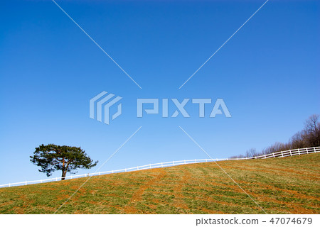 Autumn, winter pine and hill ranches, horse racing cages, people-free scenery 47074679