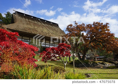 Shohoji寺在秋天 Shohoji寺在秋天 47075078