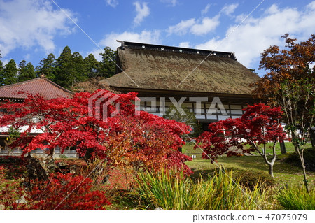 Shohoji寺在秋天 47075079