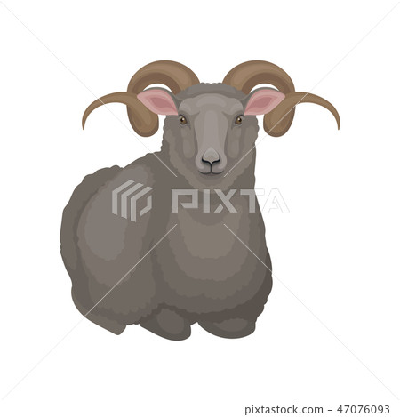 Flat Vector Icon Of Lying Male Sheep Ram With Stock Illustration 47076093 Pixta