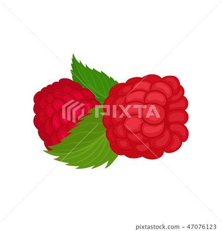 Two ripe raspberries and green leaves. Juicy summer fruit. Sweet berries. Natural and healthy food Two ripe raspberries and green leaves. Juicy summer fruit. Sweet berries. Natural and healthy food 47076123