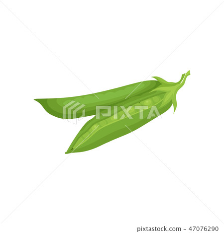 Flat vector icon of two pods of ripe green peas. Organic farm product. Raw vegetable. Cooking 47076290