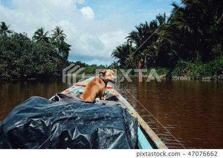 Muara Siberut, Mentawai Islands / Indonesia 47076662