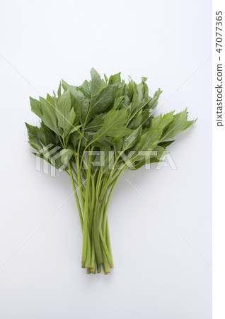 明天離開 明天離開 47077365