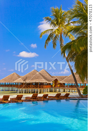 Pool and cafe on Maldives beach 47078115