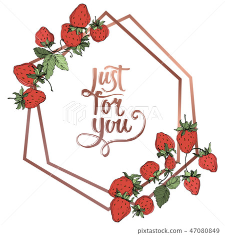 Vector Strawberry fruits. Green leaf. Red and green engraved ink art. Frame border ornament square. Vector Strawberry fruits. Green leaf. Red and green engraved ink art. Frame border ornament square. 47080849
