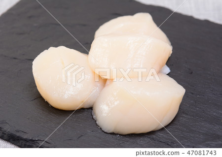 Delicious scallop Delicious scallop 47081743