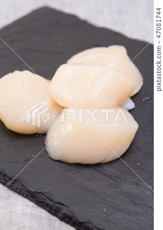 美味的扇貝 47081744