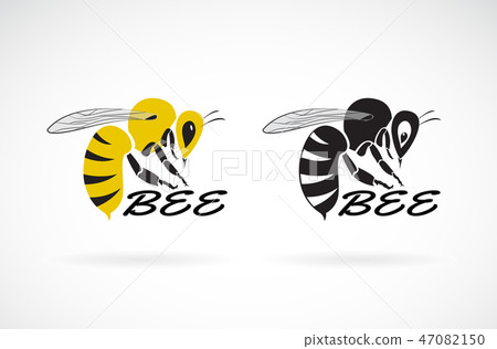 Vector of bee design. Insect.  Animals. Easy 47082150