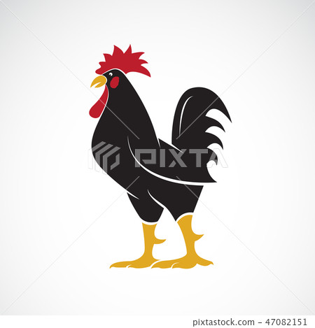 Vector of rooster or cock design., Animal f 47082151