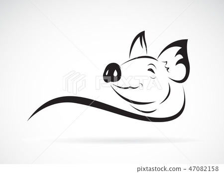 Vector of pig head design. Animal farm. Vector of pig head design. Animal farm. 47082158