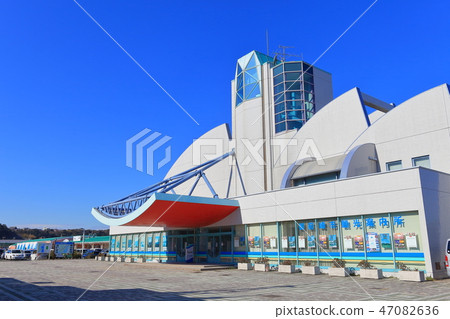 Omaezaki Seafood Nabura Market 47082636