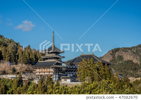 Tajima Daibutsu Chogakuji Temple 47082670