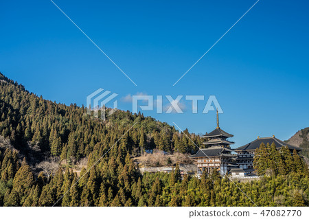 Tajima Daibutsu Chogakuji Temple 47082770