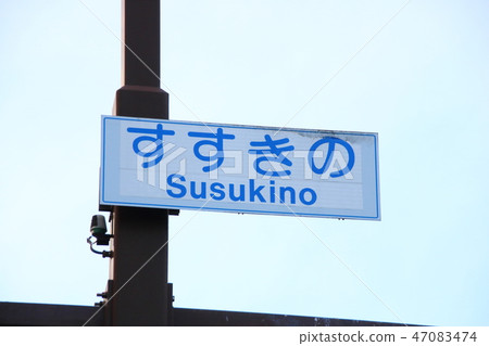 Crossing sign "Susukino" (Chuo-ku, Sapporo-shi, Hokkaido) 47083474