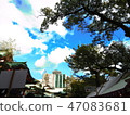 The sky seen from the grounds 47083681