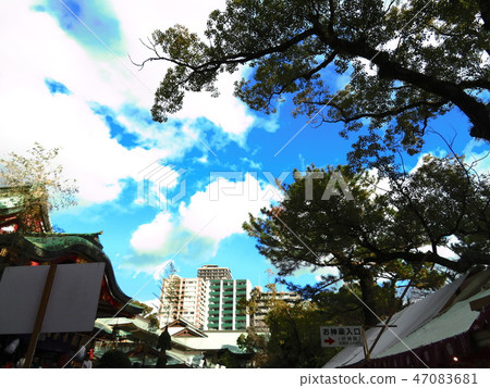 The sky seen from the grounds The sky seen from the grounds 47083681