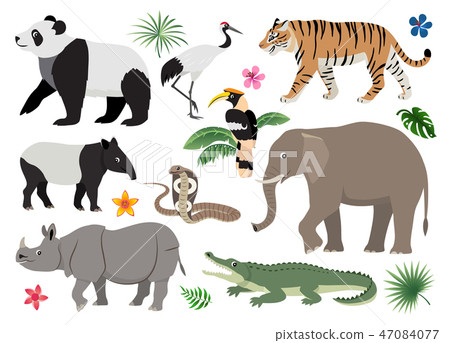 Set of cute wild animals and birds icon, decor for children 47084077