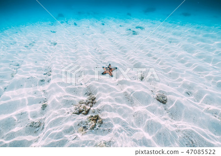 Red starfish in blue ocean with white sand Red starfish in blue ocean with white sand 47085522