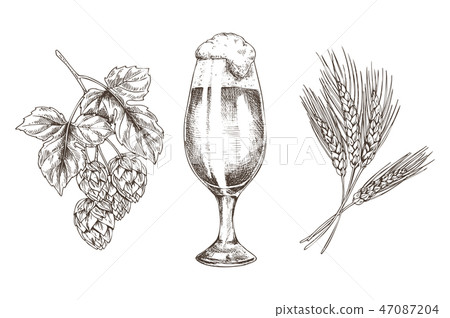 Ale in Goblet and Raw for Tasty Beer Reproduction 47087204