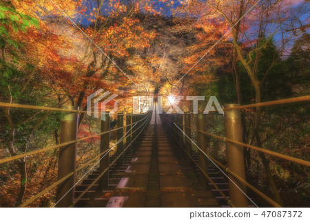 Shiomi Falls Suspension Bridge light up 47087372