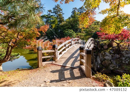 Takahashi and colored leaves Genguen 47089132