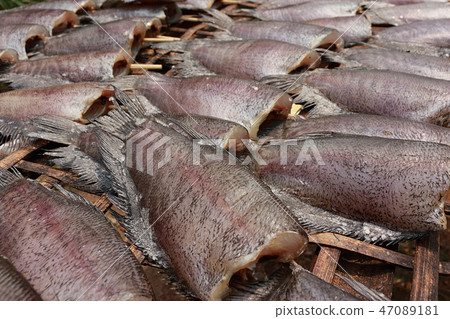 Single sunshine dried fish 4 Single sunshine dried fish 4 47089181