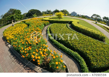 Gardens, flower beds and flower fields in Rama 9 Park, Bangkok, Thailand 47090594