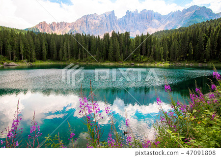 The Karersee, a lake in the Italian Dolomites 47091808