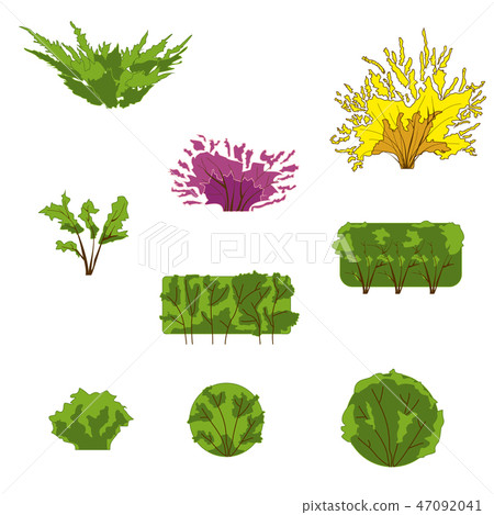 Green herbal plant isolated on white. Bush with brown branches, app game UI or web element icon 47092041