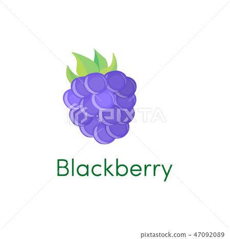 Cartoon blackberry icon fruit isolated on white. Vector illustration Cartoon blackberry icon fruit isolated on white. Vector illustration 47092089