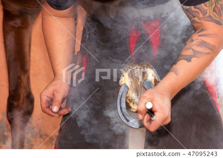 farrier placing the hot shoe on the horse's hoof. farrier placing the hot shoe on the horse's hoof. 47095243